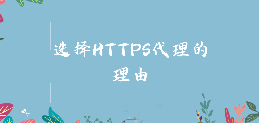 选择HTTPS代理的理由.png